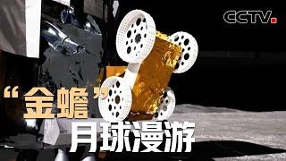 揭秘2024“金蟾”月球漫游！嫦娥六号带回的月壤究竟什么样？| CCTV中文《嫦娥六号》第3集 带回家