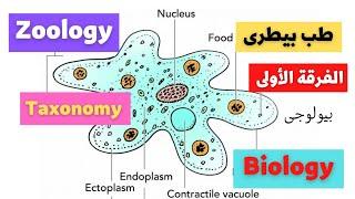 المحاضرة الأولى بيولوجى biology  الفرقة الأولى  Zoology  Taxonomy  كلية الطب البيطرى .