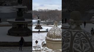 NYC 2025 first snow fall! #nyc #shorts #snow #snowfall #snowday #snowy #centralpark #2025 #live