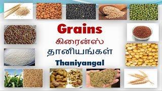 Vocabulary about Grains with pictures including Tamil meaning