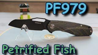 Складной нож Petrified Fish PF979. Обзор.