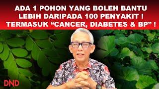 ADA 1 POHON YANG BOLEH BANTU LEBIH DARI 100 PENYAKIT!!! (TERMASUK "CANCER, DIABETES & BP")