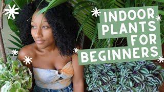 How To Be a Plant Mama  - Indoor Plants for Beginners