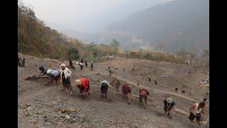 Nagaland: Kezoma village to upscale millet farming