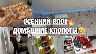 ОСЕННИЙ ВЛОГ! НЕ УСПЕВАЮ ЖИТЬ! ДОМАШНИЕ ХЛОПОТЫ! ЛЕГКИЙ САЛАТИК!  ШОПИНГ В СИН! Будни Мамы Влог