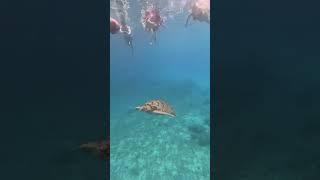 #Тайланд #Симиланы Симиланские острова  similan islands  Андаманское море  #пхукет #beach