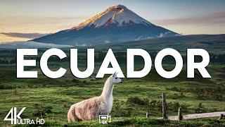 Top 10 Best Cities to Visit in Ecuador - Travel Video 2024