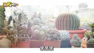 《不推怎麼行》新竹打卡聖地！「福祥仙人掌與多肉植物園」DIY屬於你的肉肉盆