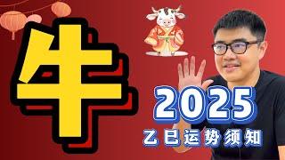 容易招黑粉？化身魔术牛的一年 | 2025乙巳年运势——【牛】Ox｜蛇年生肖运程 | 超详细解析