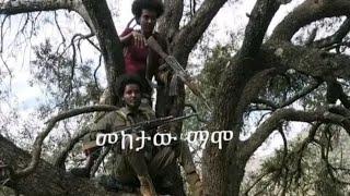 በአይነቱ ልዩ የሆነ ኦፕሬሽን ዛፍ ላይ ወጠው የሰሩት ታምር ለታሪክ ይቀመጣል#ጎንደር#ወሎ#ጎጃም#ሽዋ#