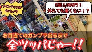 1回1000円のガンプラガチャでガンプラ出るまで全ツッパ！！【お宝発見 北神戸店】