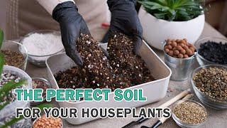 How to choose the perfect soil for your houseplants #plants #houseplants #plantcare #soil