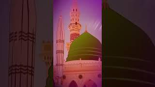 eid miladunnabi status video | naat status video | madina sharif status video #shorts #love  #trend