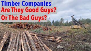 Are Timber Companies Destroying Our Forests or Saving Them?