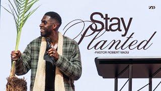 Stay Planted I Robert Madu I Social Dallas