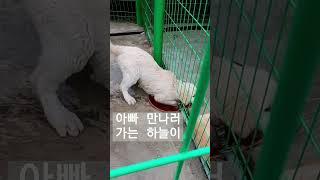 하늘이 아빠 만나러 가는 중