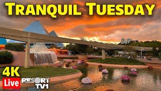 4K Live: Tranquil Tuesday at Epcot in 4K  - Walt Disney World Live Stream - 6-17-25
