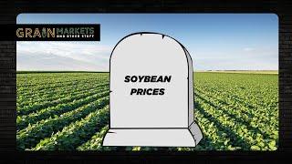 Scariest Soybean Chart Ever