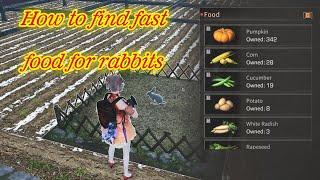 #lifeafter | How to find fast food for rabbits in Lifeafter | Lão Dần