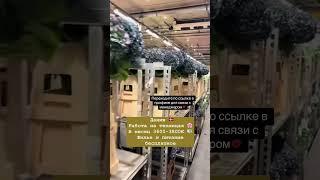 Дания  ссылка в профиле #Работа#работавевропе#нашивевропе#работазаграницей