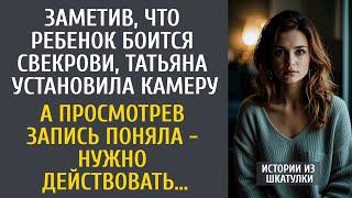 Заметив, что ребенок боится свекрови, установила камеру… А просмотрев запись, решила действовать…