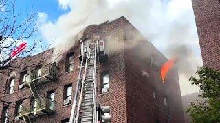 FDNY - Early Arrival + Audio - Bronx All Hands Box 2753 - Multiple Dwelling Top Floor Fire - 11/4/24