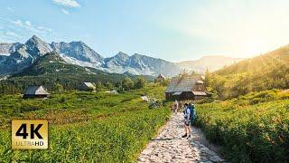 Solo hiking 3 days in Tatra Mountains | RYSY | KOŚCIELEC | KRZYŻNE | TATRY WYSOKIE | 4K |