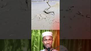 Allah Is With You – He Sees and Hears Everything | Islamic Reminder for Hard Times