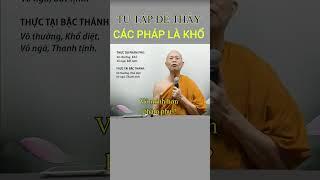 Tu để thấy các Pháp là Khổ có đúng không?  #thiền_sư_nguyên_tuệ