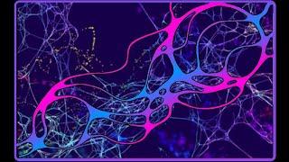 Neuroplasticity and Neurographic Art Therapy