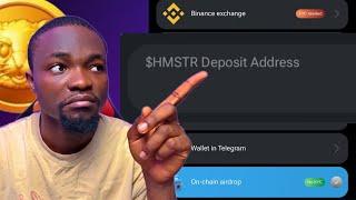 How to FIND Hamster Kombat Wallet Address on Binance & ByBit