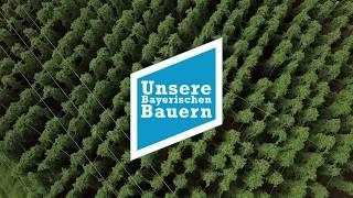 Schon gewusst? - Bayerischer Hopfen