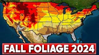 When to Expect Your Peak Fall Foliage 2024