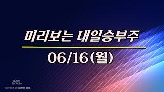 06/16일(월) 미리보는 내일승부주 - 휴먼테크놀로지.풍산.달바글로벌.미투온.다날.헥토.상지건설.파루.일신바이오.키스트론.에르코스.쎄크.TS인베스트.한전기술.에스엠벡셀.애드바이오