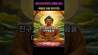 인생고민 부처님의 지혜로 듣다-죽음과 이별 마무리편- 제5화 친구,부모의 죽음을 맞이했을때 #부처님말씀 #명언 #자기수행  #부처님가르침  #긍정적마인드 #인생조언