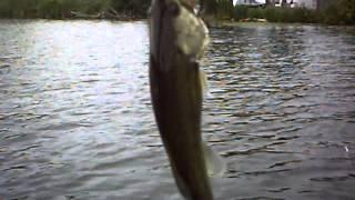 Fishing Ohio's most POLLUTED Lake - Summit Lake in Akron  Mr Chomp