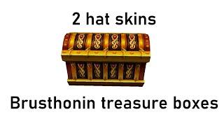 Brusthonin treasure boxes : hat skins and that's it.