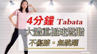 4分鐘Tabata訓練丨不傷膝丨無跳躍丨適合大體重丨極速燃脂