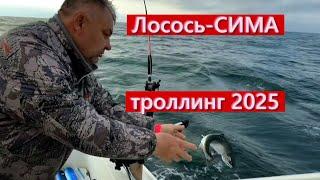 Лосось -СИМА троллинг 2025