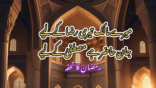 mary malik tari raza ka liya|میرے مالک تیری رضا کے لیے جان حاضر ہے مصطفیٰ کے لیے ‎@UmerMunirQadri