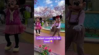 Couple Goals!!! They are so cute together!  #shorts #disneyparks