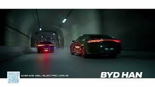 BYD Auto Brasil