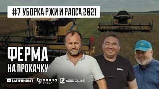 Ферма на прокачку #7 — Уборка ржи и рапса 2021 / Grano Group | Latifundist