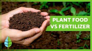 PLANT FOOD VS. FERTILIZER  What's the Difference?