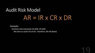Audit Risk