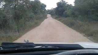 SsangYong Rexton offroading | Udawalawa, Sri Lanka