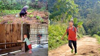 boy selling taro woman dragon cabbage