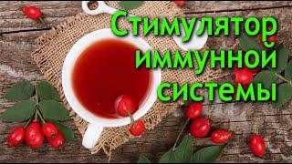 ОТЛИЧНЫЙ СТИМУЛЯТОР ИММУННОЙ СИСТЕМЫ