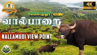 வால்பாறை சுற்றுலா | Elephant spotted | Drone shots - Heaven Explorer