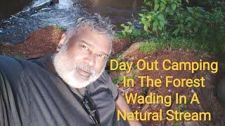Day Camping In A Forest And Wading In A Stream